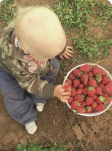 child with picked strawberries